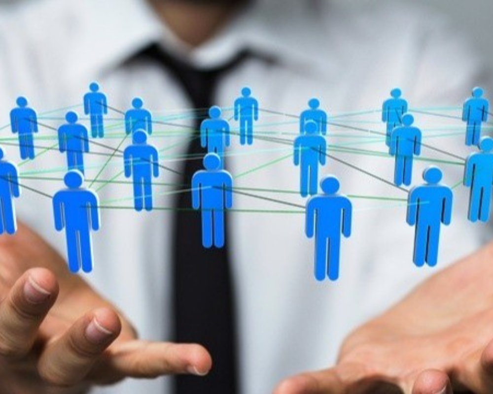 Perfis de Liderança